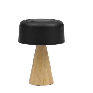 Kiruna (Cone Teak S), светильник антрацит, алюминий тик
