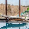 Шезлонг AGATA коричневый с матрасом